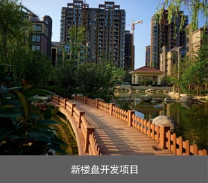 四柱雙層簡(jiǎn)易立體車庫(kù)新樓盤開發(fā)項(xiàng)目